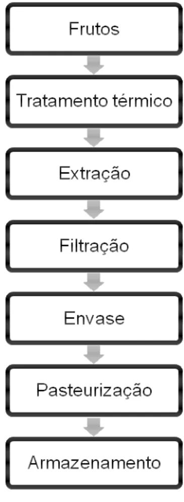 Figura 7. Fluxograma de produção dos extratos 