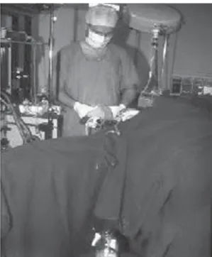 Figure 2 - Image of the whole lung lavage procedure