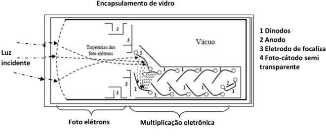 Figura 2.11  – Diagrama de acoplamento óptico de uma válvula foto-multiplicadora típica.[KNOLL, 1989]