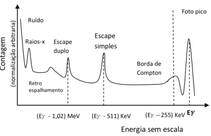Figura  2.16  .  Ilustração  de  eventos  ocorridos  devido  ao  espalhamento  de  raios  gama  da  fonte  e  no  ambiente