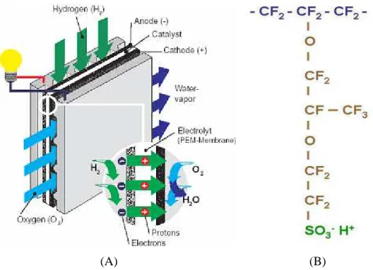 Figure 1.4. (A) Schematic of a typical H 2 /O 2  PEMFC [1.13]. (B) Nafion® Polymer Electrolyte Membrane  Structure and Characteristics