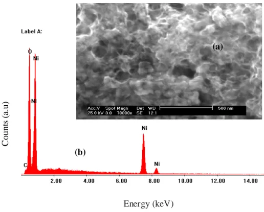 Figure 2.2. Photo Scanning electron microscope view of the synthesized catalyst powder (a) and associated  elemental analysis EDAX (b)