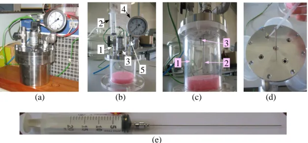 Figure 2.7. Survey picture of the: (a) main reaction vessel / LR; (b) accessories fixed on the outside lid of the  reactor:  1-  reactor  inlet  bore  valve,  2-  syringe,  3-  pressure  probe,  4-  Bourdon  manometer  and  5-  reactor  exhaustion  needle 