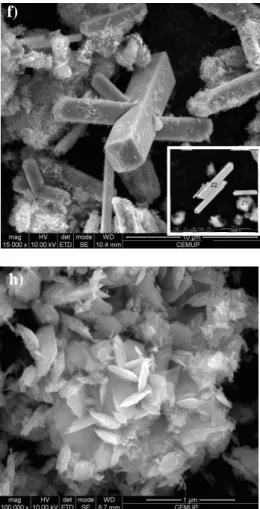 Figure 3.2 FESEM images of the materials: a) Mn1, b) Mn2, c) Mn3, d) Mn4, e) Mn5  f) Mn6 g) Mn7, h) Mn8