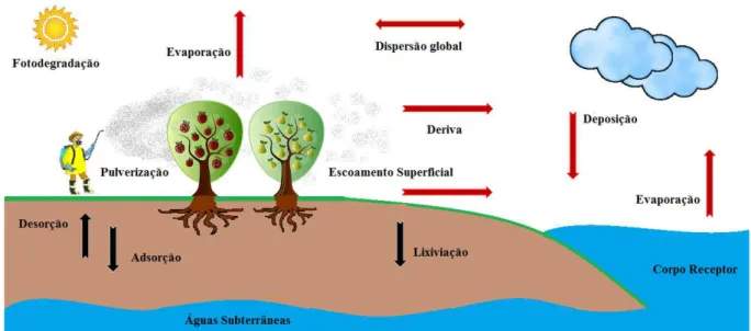 Figura 20  – Dinâmica dos agrotóxicos no meio ambiente. 