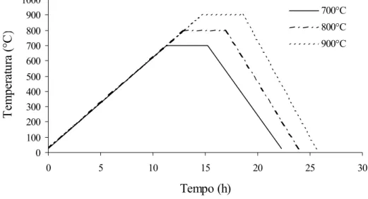 Figura 4.5 - Representação esquemática do tratamento térmico de  estabilização das amostras de vidro bioativo
