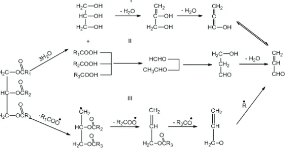 Figura 3: Caminhos para formação de acroleína a partir de triglicerídeos (adap- (adap-tado ref