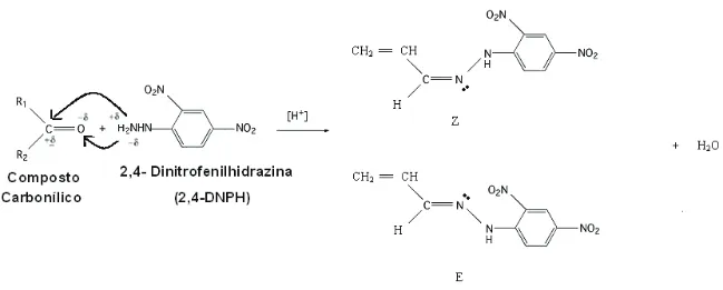 Figura 5: Reação de CC com 2,4-DNPH para formação de hidrazonas. 