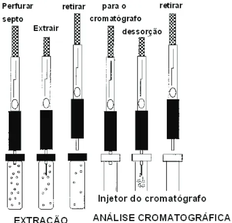 Figura 7: Representação do processo de extração do analito pelo material ad- ad-sorvente (pela fibra) e dessorção do analito numa análise cromatográfica.