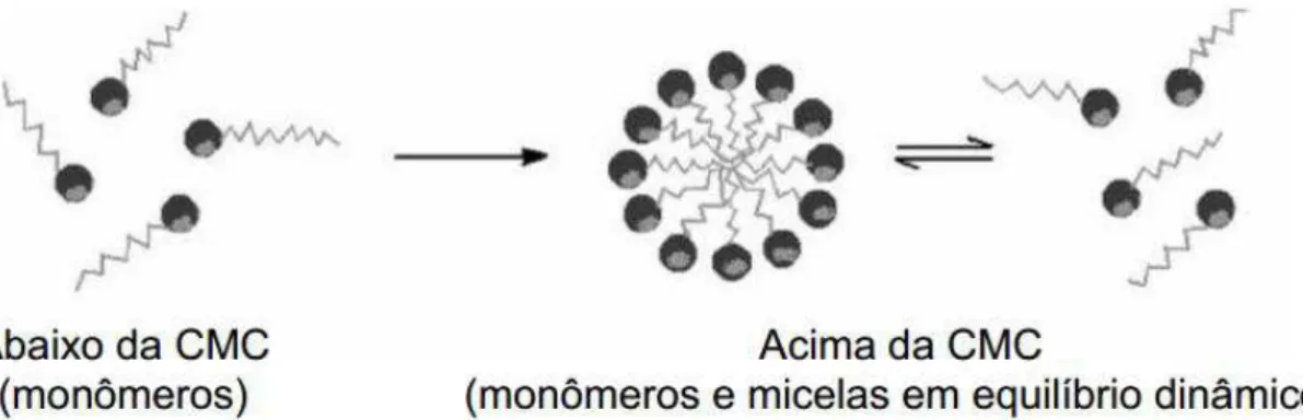 Figura 2 - Esquema de um agregado micelar. Fonte: Bezerra &amp; Ferreira, 2006.  