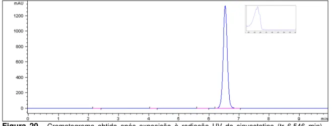 Figura  20   -  Cromatograma  obtido  após  exposição  à  radiação  UV  de  sinvastatina  (tr  6,546  min)