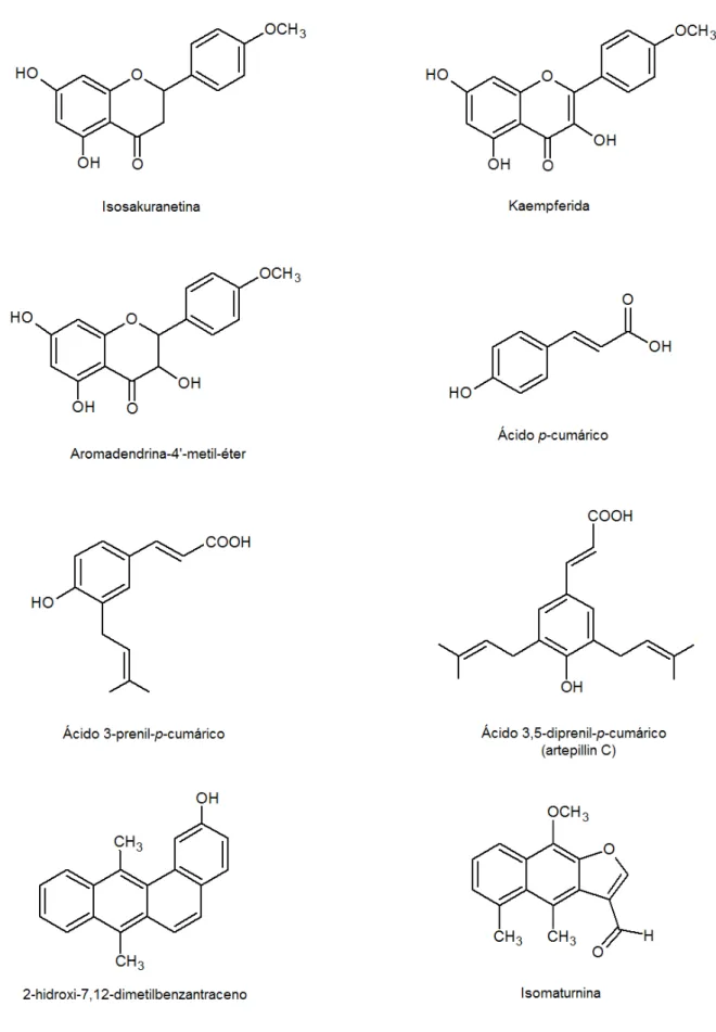 Figura 5. Estrutura q  química de alguns compostos isolados de brasileira.  