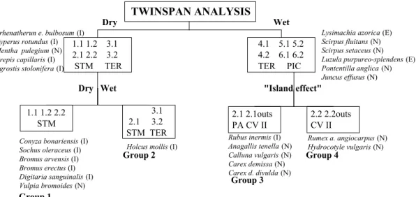 Fig.  2.  Dendrogram  showing  the  12  main  field  sites  grouped  by  TWINSPAN,  together  with  the  vascular  plant  indicator species