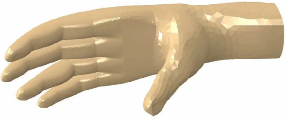 FIGURA 2.13 - Modelo biomecânico tridimensional da mão humana (ROCHA et al., 2009). 
