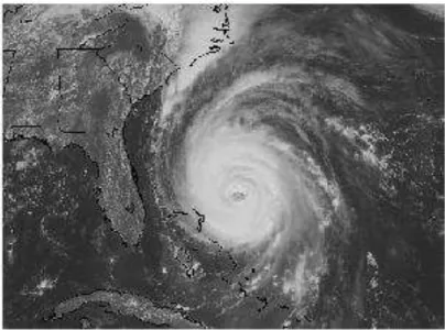 Figura 3.3 - Furacão Fran no dia 5 de setembro de 1996, próximo à costa dos EUA.  Fonte: http://www.efluids.com