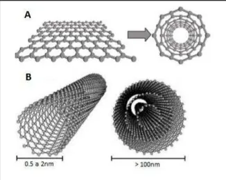 FIGURA 3. Esquema ilustrando formação de nanotubos de carbono (A) a partir da folha de  grafeno, B, SWCNT e MWCNT