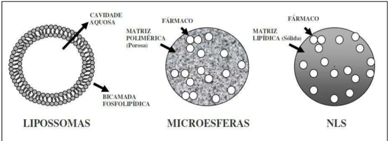 Figura 8 -  Representação esquemática de lipossomas, microesferas poliméricas e  nanopartículas lipídicas sólidas (NLS)