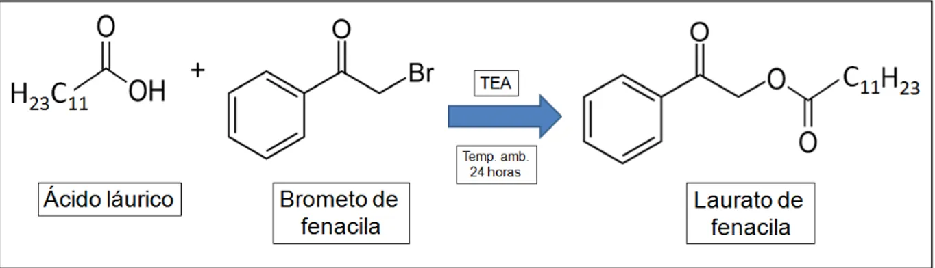 Figura 13 -  Representação esquemática da reação de derivatização do ácido láurico com o  brometo de fenacila, utilizando trietilamina como catalisador