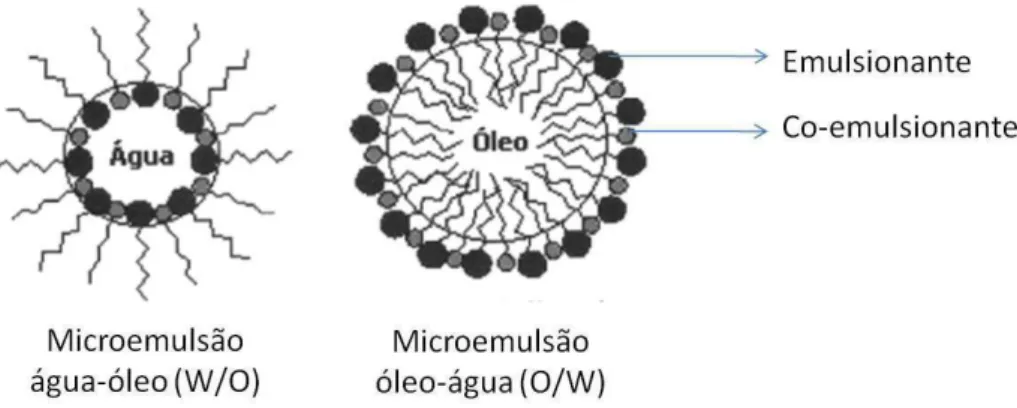 Figura 5- Representação esquemática da estrutura das microemulsões (adaptado de OLIVEIRA et  al, 2004), onde a micela é formada com o uso de um emulsionante e é estabilizada com o uso de um 