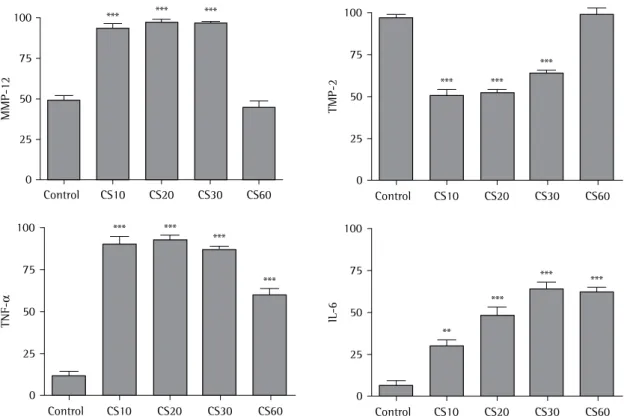 Figure 3 - Immunohistochemical index (II). The II for matrix metalloproteinase-12 (MMP-12) was higher after 10, 20  and 30 days of exposure (CS10, CS20 and CS30 groups) than in the control group