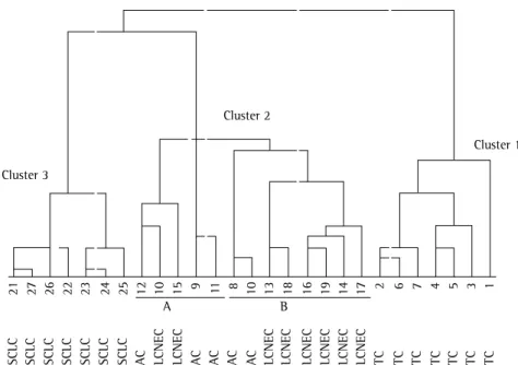 Figure 3 - Dendrogram obtained from the 27 lesions evaluated, here grouped into three clusters