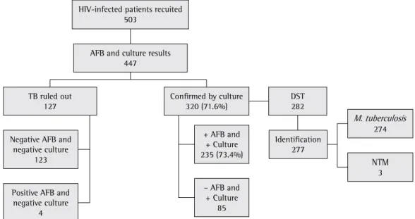 Figure 1 - Patients involved in the study according to the test results. AFB: acid-fast bacilli; TB: tuberculosis; DST: 