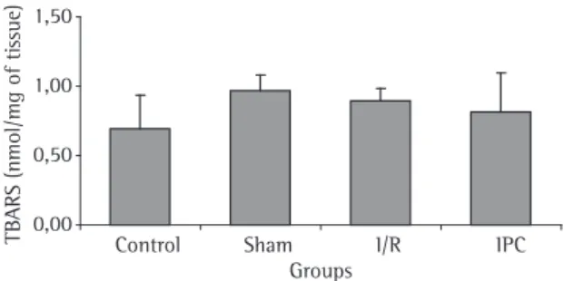 Figure  5  -  Quantification  of  the  thiobarbituric  acid  reactive substances (TBARS) in the control, sham, ischemia/