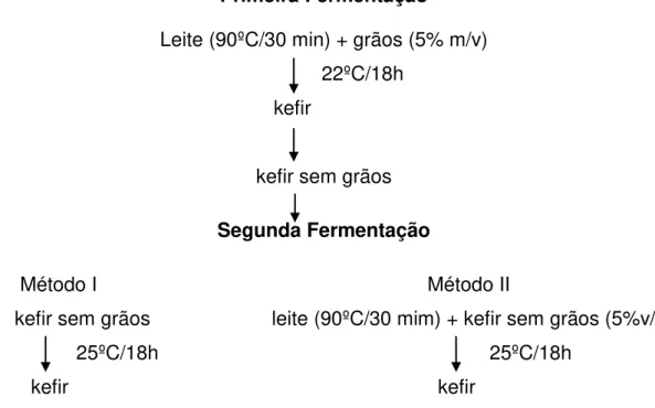 Figura 5: Produção de kefir usando diferentes métodos em uma segunda fermentação. 