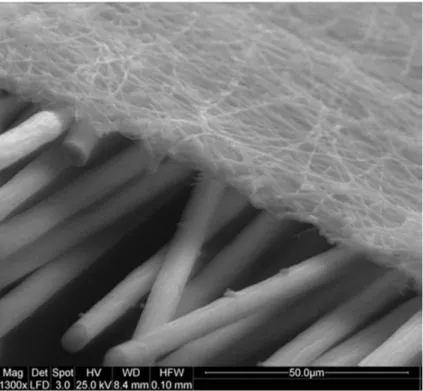 FIGURA 8 – Imagem MEV de nanomembrana de Poliamida 66 depositada sobre fibras de carbono