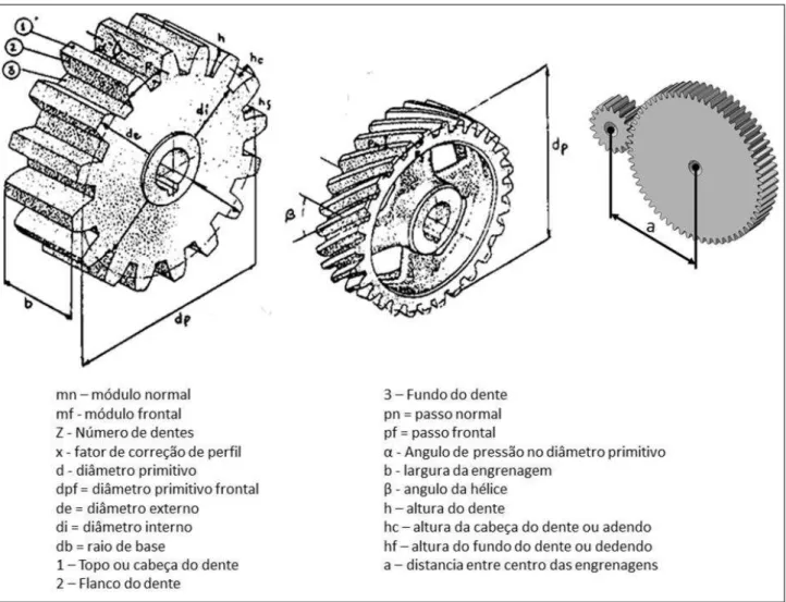 FIGURA 3.1 - Engrenagem cilíndrica reta e helicoidal.  FONTE  – Adaptado de PROVENZA (1991)