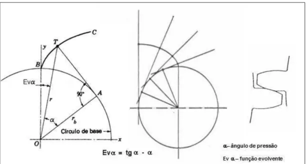 FIGURA 3.4 - Curva do perfil evolvente de círculo.  FONTE  – Adaptado de SOUZA et al., 2003, pg