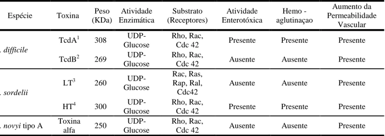 Tabela  1  –  Comparação  entre  as  características  bioquímicas  das  Grandes  Citotoxinas  Clostridiais  produzidas pelo Clostridium difficile, Clostridium sordellii e Clostridium novyi tipo A 