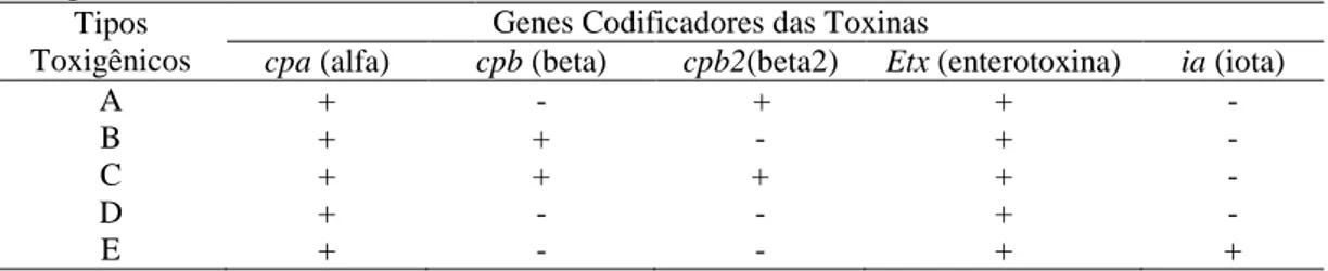 Tabela 2 – Classificação dos tipos toxigênicos de Clostridium perfringens de acordo com a presença  dos genes codificadores das toxinas 