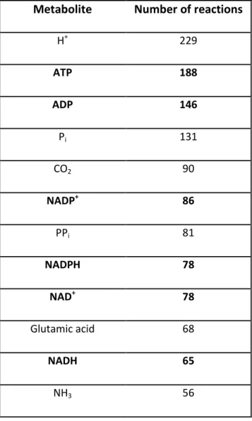 Table   1.2   Most   connected   metabolites   of   the   metabolic   network   of   S
