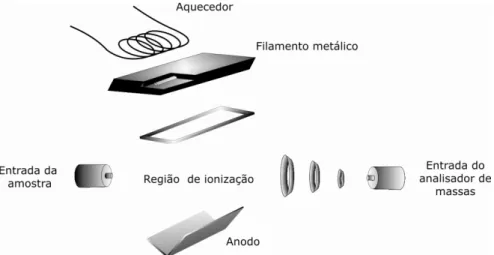 Figura 27. Representação esquemática de uma fonte de ionização por impacto por elétrons 