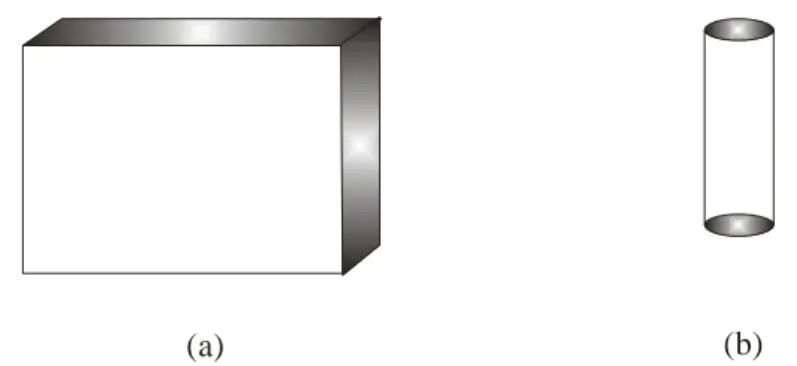 Figura 3.3 – Geometria do dielétrico que é aquecido na cavidade monomodo, (a) barra e (b)  cilindro