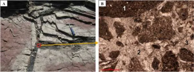 Figura 3.5.  Um dique de brecha sedimentar  que corte a  estratificação de margas  vermelhas da  Formação de Atahoc:  