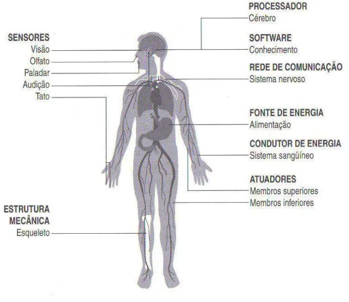 FIGURA 2.1 - Corpo Humano e Sistema Automatizado  FONTE: ROSÁRIO et. al., 2005, p.06 