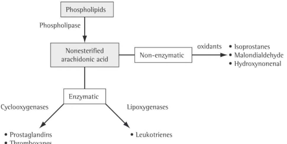 Figure  3  -  Arachidonic  acid  can  be  metabolized  via  the  enzymatic  pathway,  through  cyclooxygenases  and  lipoxygenases, or via the non-enzymatic pathway, through redox processes.