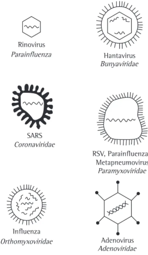 Figure  1  -  Viruses  that  cause  pneumonia  and  families  to  which  they  belong