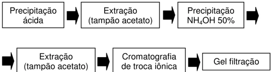 FIGURA 2 - Esquema de purificação da toxinas botulínicas tipo D, descrito  