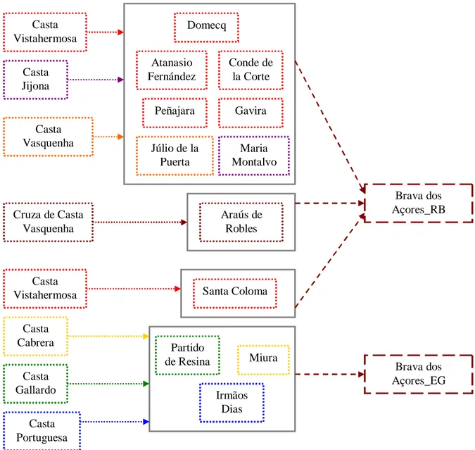 Figura  9:  Fluxograma  referente  aos  resultados  observados,  específicos  das  ganadarias  RB  e  EG  para valores de K=8