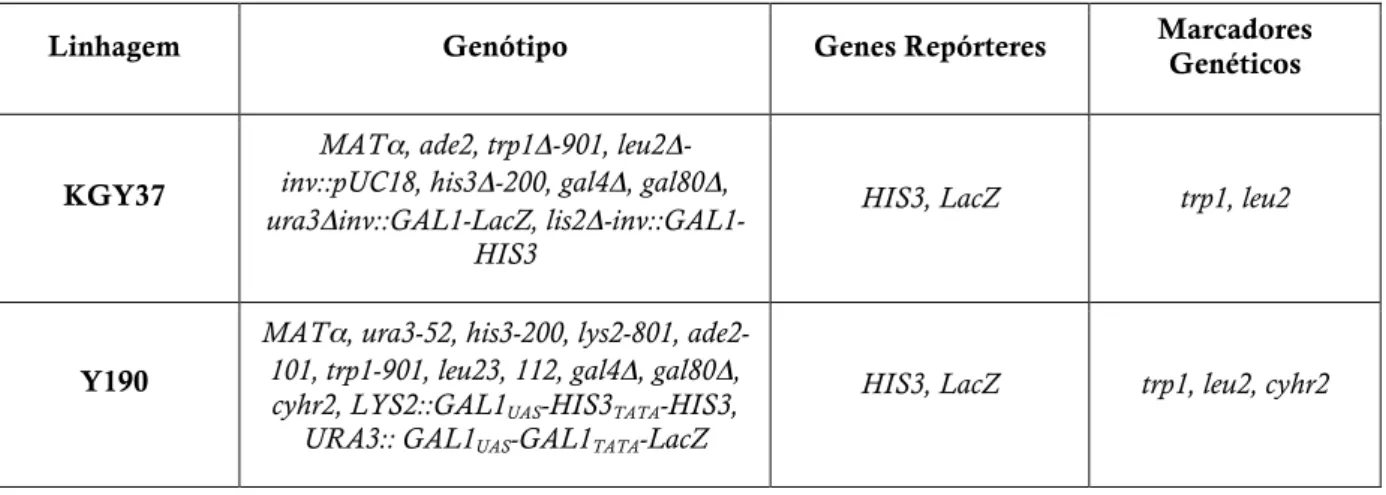 Tabela  1:  Especificações  das  linhagens  de  Saccharomyces  cerevisiae  validadas  para  os  protocolos de duplo-híbrido com triagem líquida