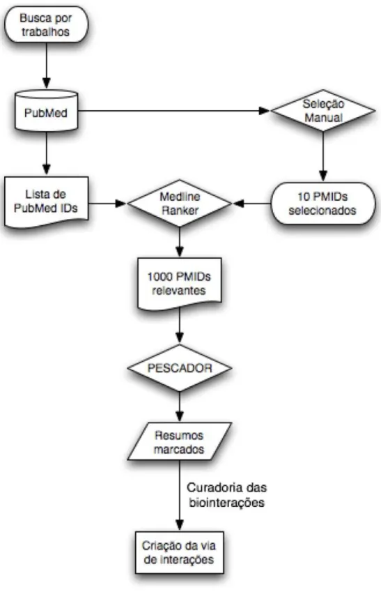 Figura  7:  Procedimento  para  criação  da  via  de  interações.  Inicialmente  realiza-se  uma  pesquisa 