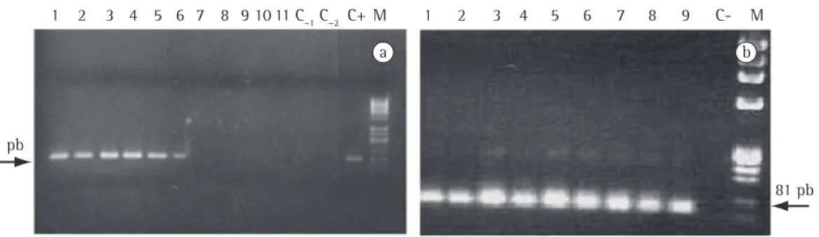Figure 1 - In a, dilution curve using whole blood of a healthy individual mixed with Mycobacterium tuberculosis  DNA