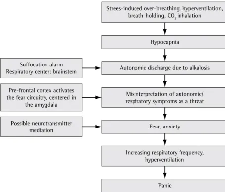 Figure 1 - Panic attack mechanisms.