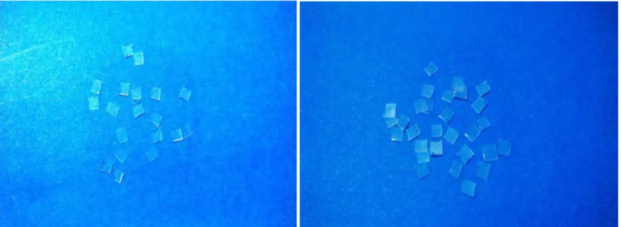 Figura 17 -  Implantes brancos de poliuretano (esquerda) e poliuretano contendo bevacizumabe (direita) 