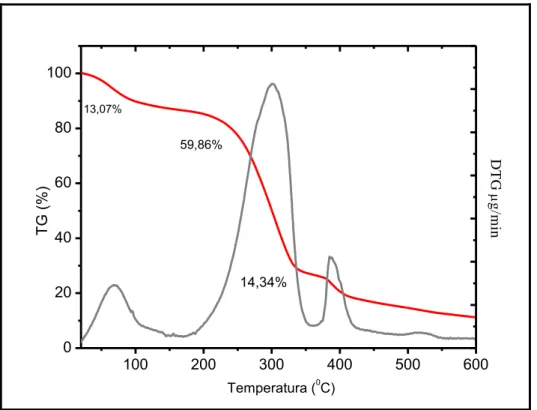 Figura 5. 16. Curva de TG e DTG da amostra com 5% de vidro bioativo nanoparticulado. 