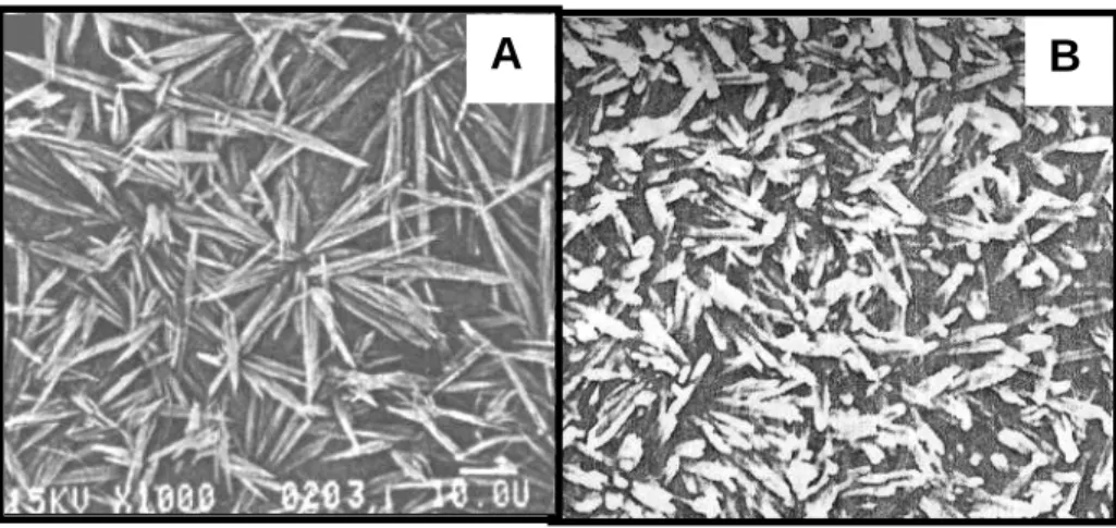 Figura 3.39 Imagem de MEV evidenciando o arranjo esferulítico (A)  e aleatório (B).  Fonte: MAIJER e SMITH, 1986