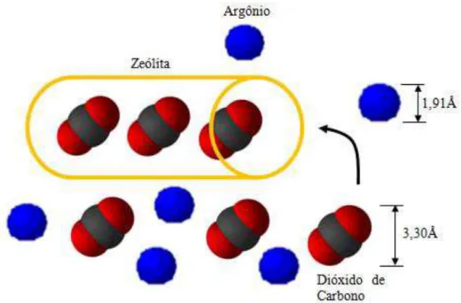 FIGURA 2.7  – Desenho esquemático da seletividade da zeólita no processo de adsorção de CO 2 